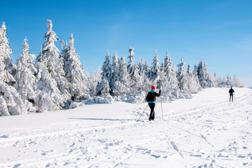 Fototapeta na wymiar Ośnieżone drzewa i para turystów na nartach skiturowych w górskim krajobrazie.