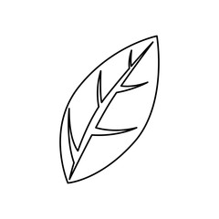 Leaf ecology symbol icon vector illustration graphic design