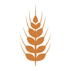Wheat food symbol icon vector illustration graphic design