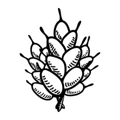 Wheat food symbol icon vector illustration graphic design