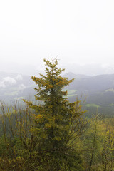 Berchtesgaden National Park.