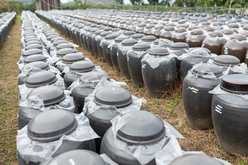 Row of Vinegar Barrel