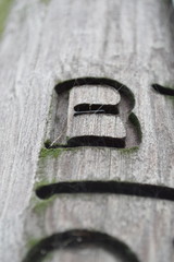 Telegraph Pole Typography