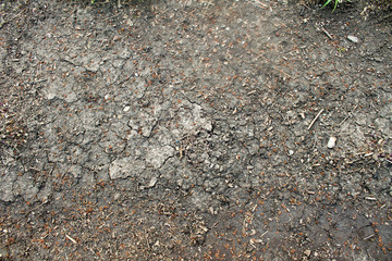 Soil Texture