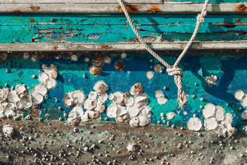 old wooden rusty boat with sea shells on board