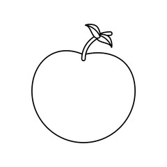 Apple delicious fruit icon vector illustration graphic design