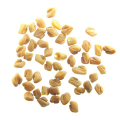 Seeds of fenugreek (Trigonella foenum-graecum) isolated on white background
