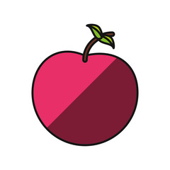 Apple delicious fruit icon vector illustration graphic design