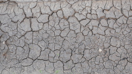 dry and Cracked earth