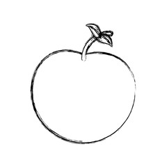 Apple delicious fruit icon vector illustration graphic design