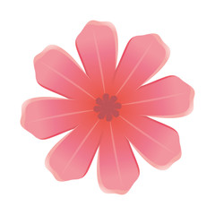 beautiful flower icon over white background. colorful design. vector illustration