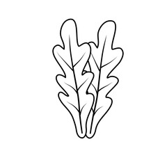 lettuce vegetable icon over white background. vector illustration