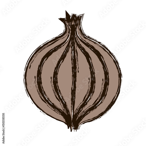 "onion vegetable icon over white background. vector illustration" Stock