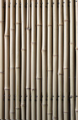 竹のフェンス　背景（縦位置）