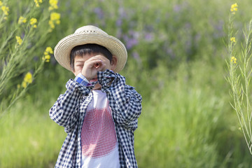 菜の花畑と男の子