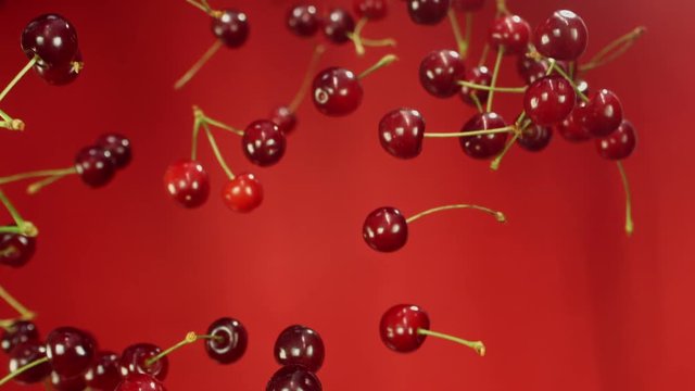 Close-up of cherry rotates in the air on a red background