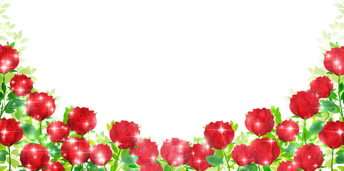 バラ　花　風景　背景