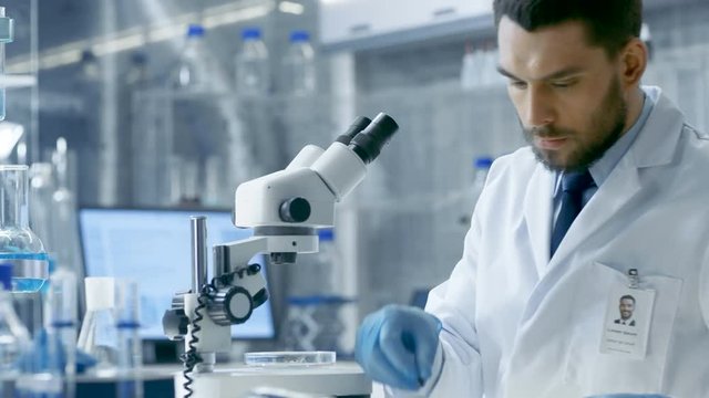 Research Scientist Adjusts Sample in a Petri Dish with Surgical Pincers and Looks on it Under Microscope. He's Working in a Modern Laboratory. Shot on RED EPIC-W 8K Helium Cinema Camera.