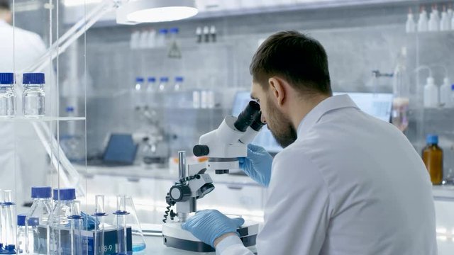 In a Modern Laboratory Research Scientist Adjusts Sample in a Petri Dish with Surgical Pincers and Looks on it Under Microscope. His Colleague Comes in and Takes His Place at the Table. 