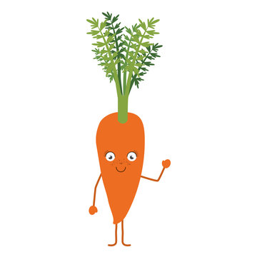 white background with carrot cartoon vector illustration