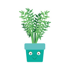 white background with caricature of carrot plant in flower pot vector illustration