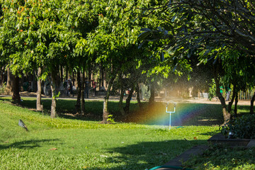 Fototapeta premium Automatic Garden Lawn sprinkler in action watering grass.