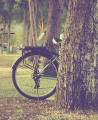 Obraz premium An old bicycle in meadow during sunset with shallow dept of field