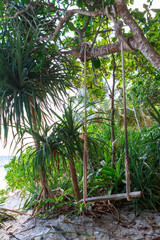 Beautiful tropical island beach with swing Koh Kood Trat Thailand