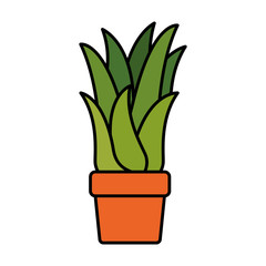 white background with corn plant in flower pot with thick contour vector illustration