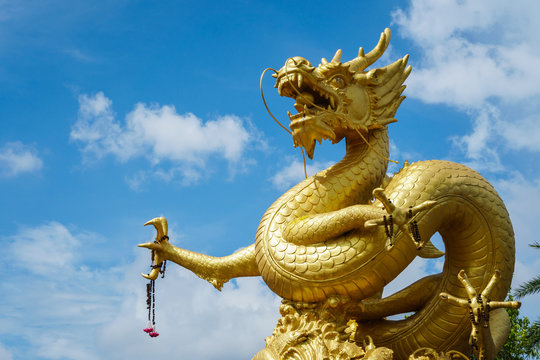 Golden Chinese dragon statue on blue sky background in Phuket Town, Thailand