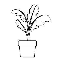 black silhouette of beet plant in flower pot vector illustration