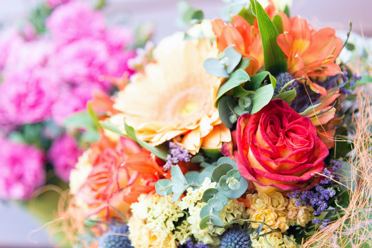 Bunte Blumen, floraler Hintergrund