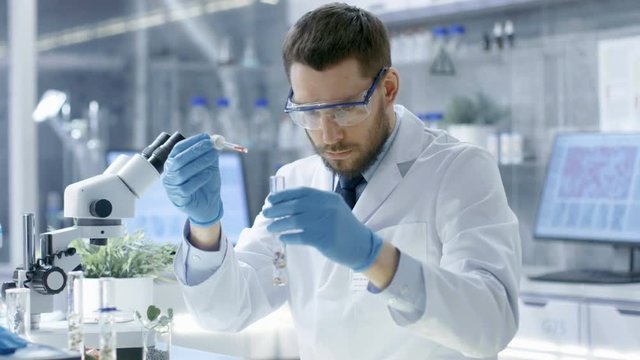 In a Modern Laboratory Biologist Conducts Experiments by Synthesising Compounds with use of Dropper and Plant in a Test Tube. Shot on RED EPIC-W 8K Helium Cinema Camera.