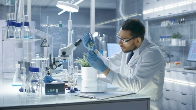 In a Modern Laboratory Research Scientist Conducts Experiments by Synthesising Compounds with use of Dropper and Plant in a Test Tube. Shot on RED EPIC-W 8K Helium Cinema Camera.