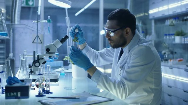 In a Modern Laboratory Research Scientist Conducts Experiments with Organic Materials. He Uses Pipette to Drop Fertilizers into Test Tube with Plant in it. Shot on RED EPIC-W 8K Helium Cinema Camera.