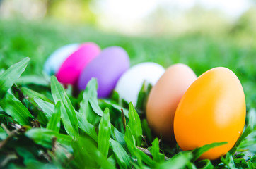 Fototapeta na wymiar Easter eggs on green grass. Spring holidays concept