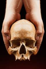 Obraz premium Human skull on a black background. flare effect
