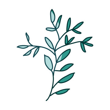 watercolor silhouette of branch with leaves on aquamarine vector illustration
