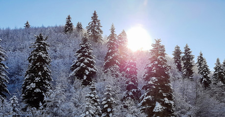 winter landscape in Sinop Turkey