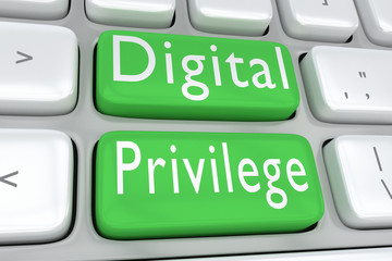 Digital Privilege concept