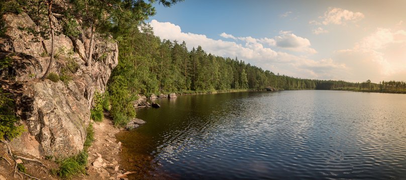 Landscape of pine trees and lake at Repovesi national park,Finland.