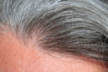 Obraz premium Различные варианты прически мужчины