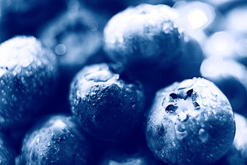 fresh berries blueberries close-up scattered black and white