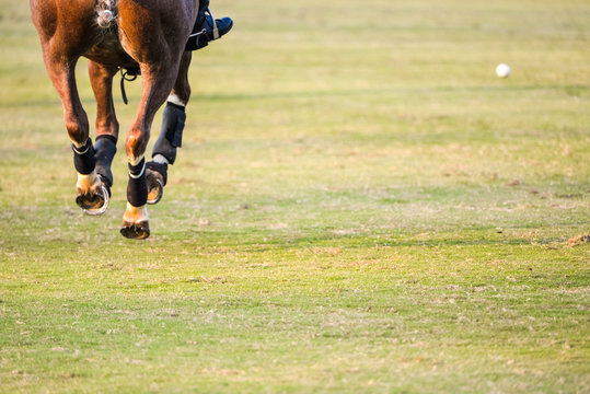 The rear view of a horse and a polo player in the polo field.