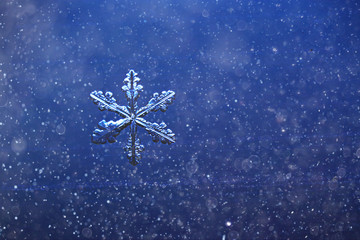 Fototapeta premium snowflake isolated on natural background