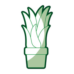 green silhouette of corn plant in flower pot with thick contour vector illustration