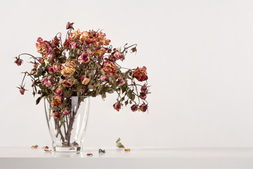 rosenstrauss in vase