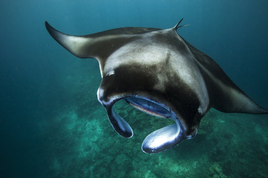 Close encounter