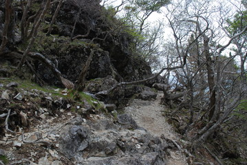 東大台ハイキング（聖子さん&高位ちゃん）