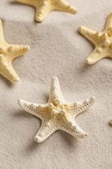 Fototapeta na wymiar Starfish on beach sand